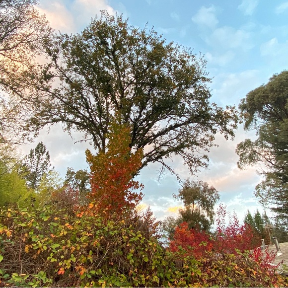 Meet your Posher, Gloria - Picture 5 of 5